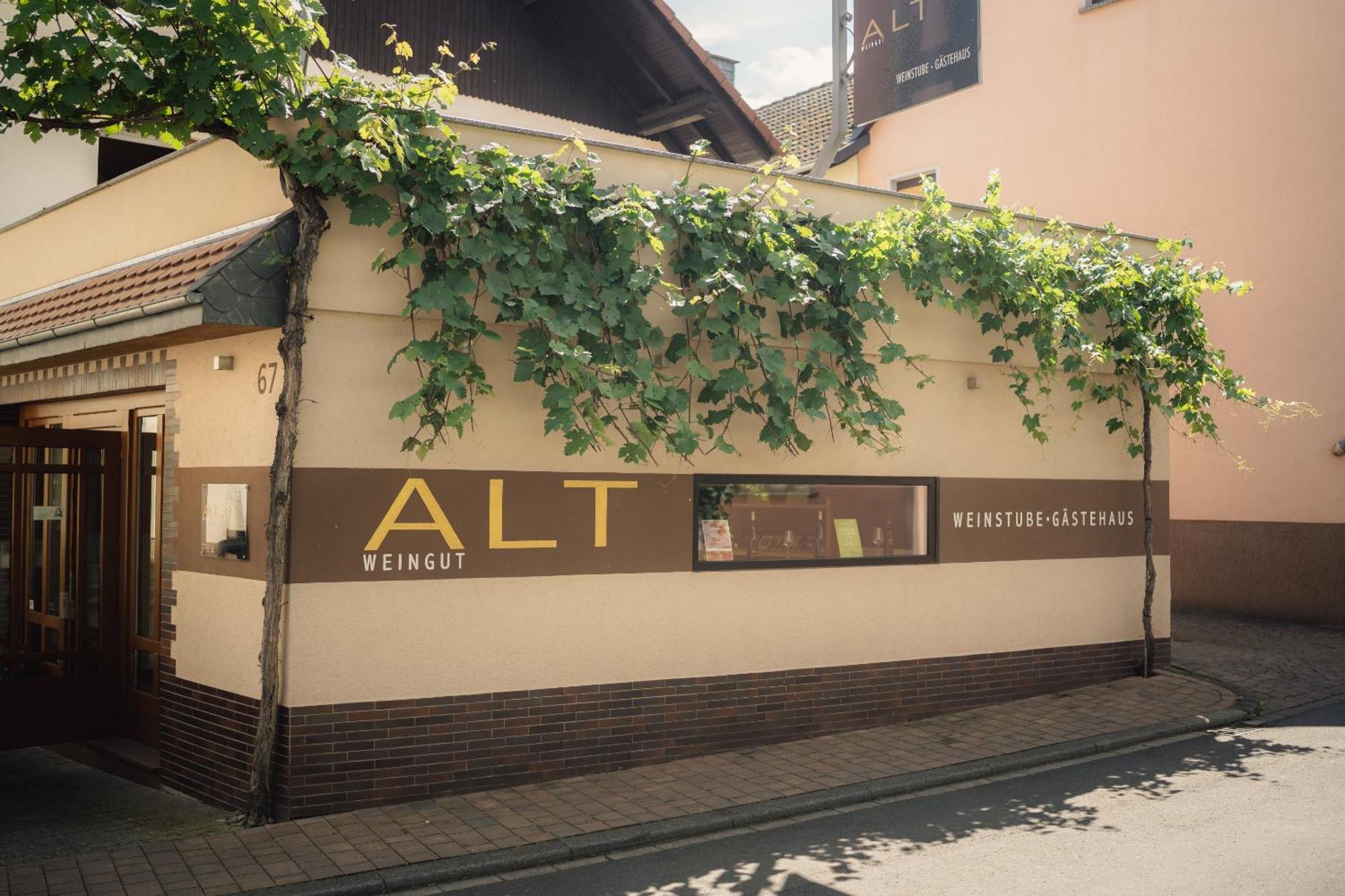 Weingut Und Gaestehaus Holger Alt Monzingen Buitenkant foto