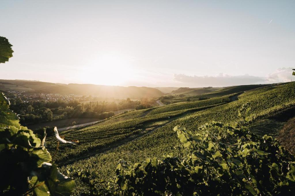 Weingut Und Gaestehaus Holger Alt Monzingen Buitenkant foto