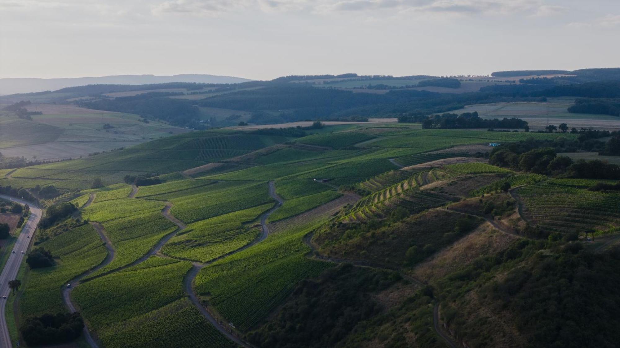 Weingut Und Gaestehaus Holger Alt Monzingen Buitenkant foto