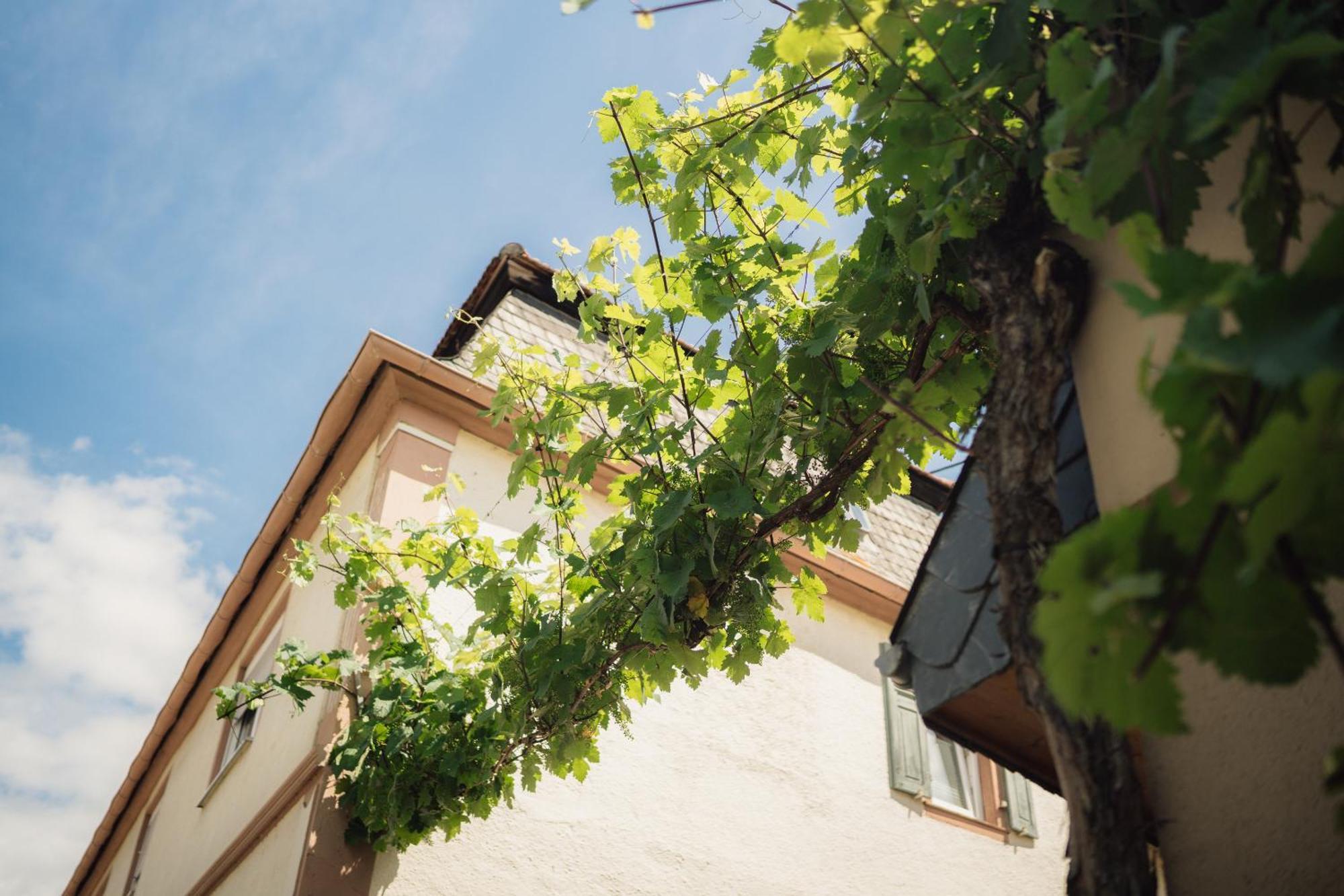 Weingut Und Gaestehaus Holger Alt Monzingen Buitenkant foto